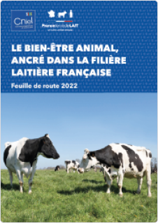 Publication 1