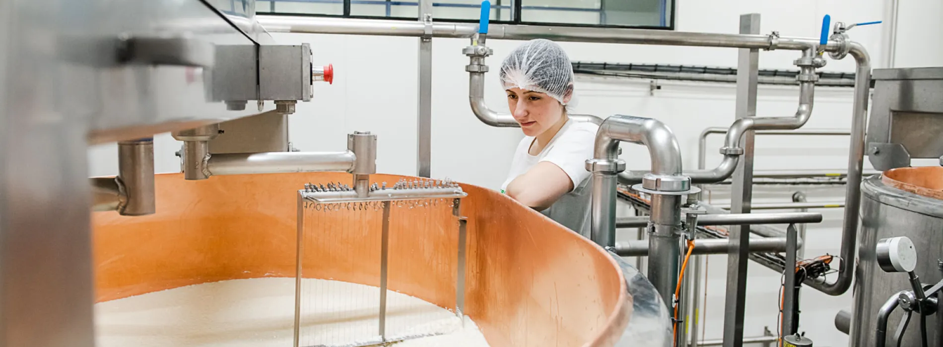 Gabrielle Salin - Fabrication de produits laitiers