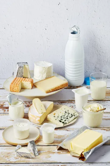 Familles de produits laitiers